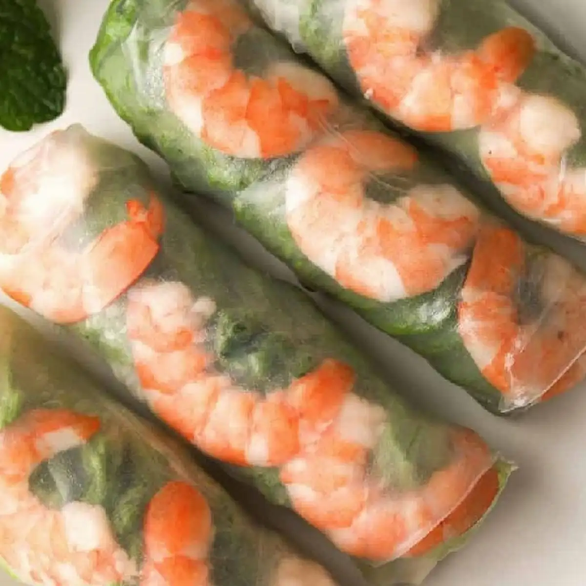 Rouleaux de printemps